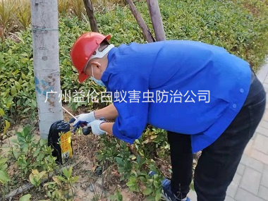 江高文化体育公园灭治白蚁