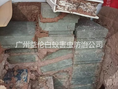 竹料防治白蚁危害工程