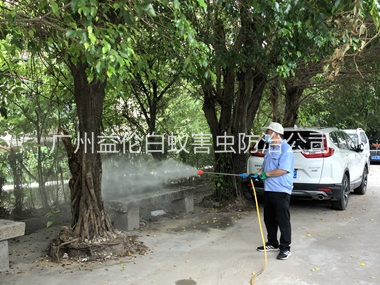 石井社区四害消杀工程