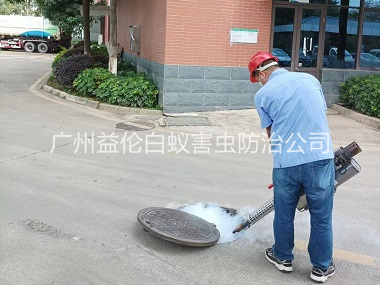 白云区治蟑螂蚊蝇工程
